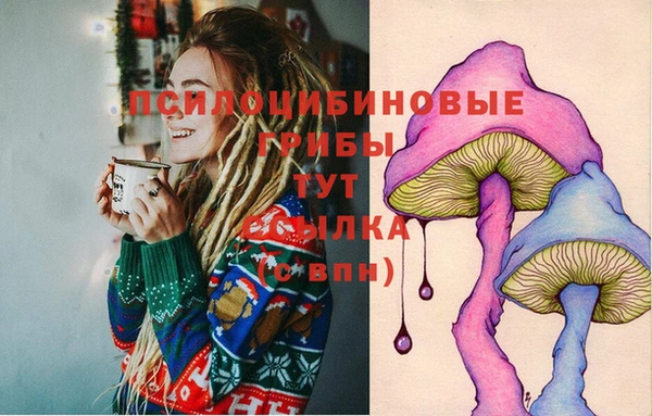 дурь Баксан