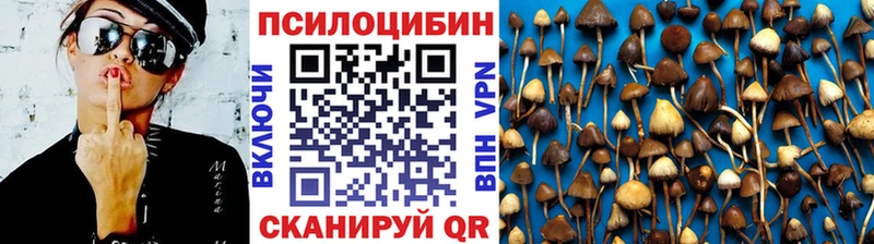 мориарти официальный сайт Пятигорск Псилоцибиновые грибы ЛСД купить