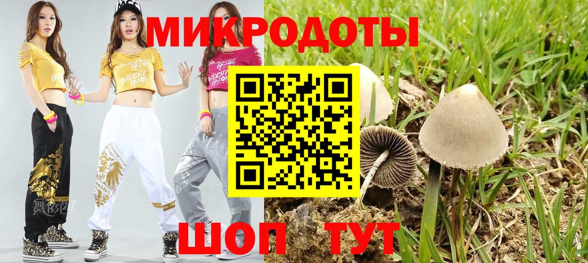 Псилоцибиновые грибы MAGIC MUSHROOMS  Вход с VPN  Псилоцибиновые грибы Psilocybine cubensis  Пятигорск 