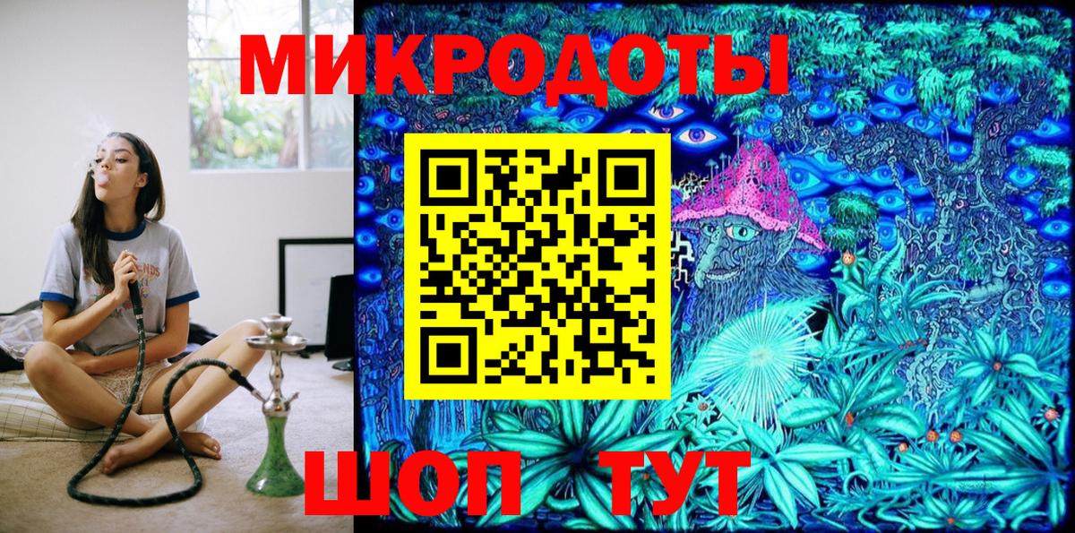 Псилоцибиновые грибы Psilocybe Пятигорск
