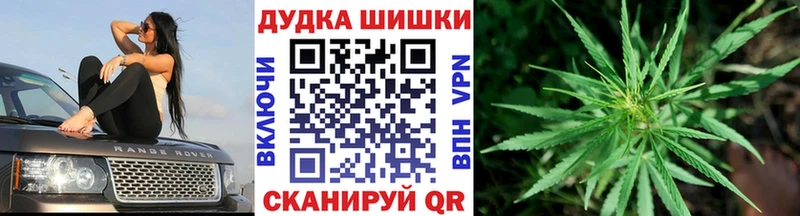 дарнет шоп  Пятигорск  Каннабис планчик 